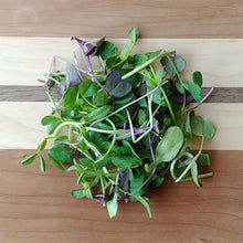 Load image into Gallery viewer, Microgreens, Hearty Mix (Organic - 100g)
