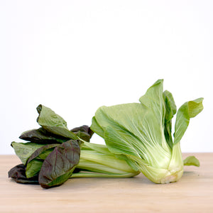 Bok Choy (Red/Green 2-pack)