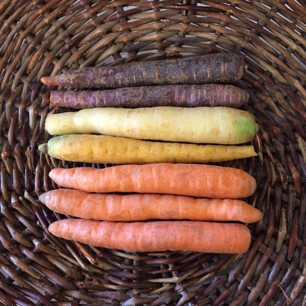 Carrots, Rainbow (Organic - 2lb)
