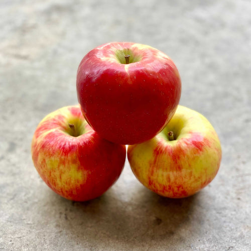 Honeycrisp Apples (Norfolk Fruit Growers)
