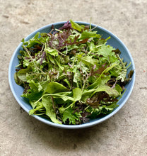 Load image into Gallery viewer, Greens, Spicy Salad Mix Organic (141g Clamshell)
