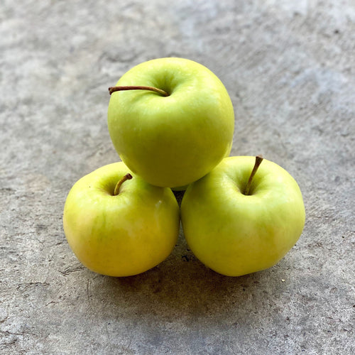 Ginger Gold (Norfolk Apples)