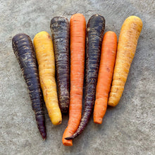 Load image into Gallery viewer, Rainbow Carrots (Hillside Gardens)
