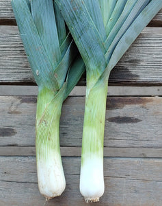 Leeks, Bunch of 2 (Organic)
