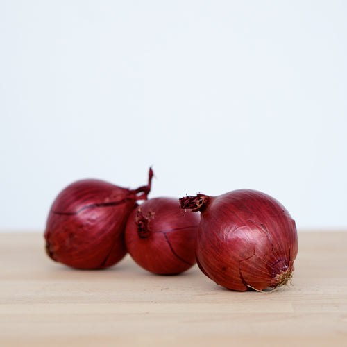 Red Onions (Hillside Gardens)