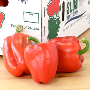 Peppers, Red Sweet Bell (XL - Each)